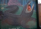 tim-alligatorCypressGardens