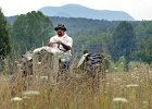 Bushhogging--copy  Gvarn Littlejohn uses a 1969 Ford tractor to bushhog a field recently near his home in Polk County, NC. Littlejohn cleared the field for a friend of his mothers.   (NOTE: Stand-alone FEATURE)