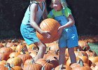 pumpkinpatch2.jpg  Mahlon Haulbrook, 9, left, and Amy DeVore, 8, share the load as they carry the pumpkin they picked from the pumpkin patch at St. Matthews Episcopal Church sale Sunday afternoon. The two girls are friends and next-door neighbors. The pumpkins come from a Navajo tribe in New Mexico and are sold by the church to raise funds for outreach work. The church had at least 4,000 pumpkins and has raised $5,000 in the last week of the sale.